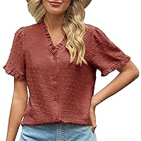 Women's Blouses Short Sleeve,Women's V Neck Pleated T Shirts Summer Loose Fit Basic Tunic Casual Tropical Shirt Tees