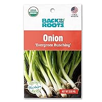 Back to the Roots Onion 'Evergreen Bunching' Seed Packet, 200mg