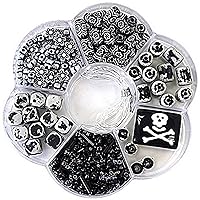 Linpeng Jewelry Making Bead Kit - Includes Glass Beads Seed Beads Bugles Plastic Beads Elastic Cord and a Flower Shaped Divider Storage Box, Black & White (BB-15)