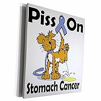 3dRose Piss On Stomach Cancer Awareness Ribbon Cause Design - Museum Grade Canvas Wrap (cw_115941_1)