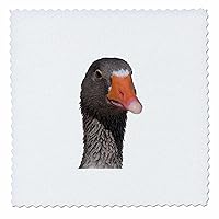 3dRose Neck Up Photograph Portrait of A Geeky Looking Brown Duck - Quilt Squares (qs-382576-6)