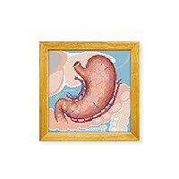 Awesome Pattern Studio Human Body Stomach DS1087, Diamond Painting Kit, Diamond Art Kits for Adults, Full Drill 5D Diamond Dots Kits. All Items Included.