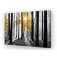 Cao Gen Decor Art S06381 Wall Art Canvas Painting Yellow Tree in Black and White Sunshine Foggy Forest Picture Poster Print Framed Ready to Hang for Living Room Bedroom Office Home Decor