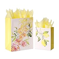 Papyrus Gift Bags with Tissue Paper for Mothers Day, Easter, Weddings, Bridal Showers and All Occasions, Citrus (2 Bags, 1 Large 13