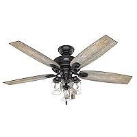 Hunter Fan 52 inch Casual Matte Black Indoor/Outdoor Ceiling Fan with LED Light Kit and Pull Chain (Renewed)