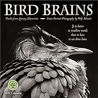 Bird Brains 2020 Wall Calendar: Truths from Literary Humorists and Avian Portrait Photography
