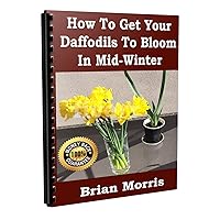 How to Get Your Daffodils to Bloom in Mid-Winter: Simple steps to have flowers in mid-winter, anywhere worldwide