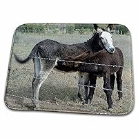 3dRose Roni Chastain Animals - Nursing donkey, mom and baby - Dish Drying Mats (ddm-112663-1)