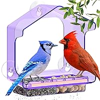 LUJII Colored Transparent Window Bird Feeder with Strong Suction Cup, All One Piece Super Sturdy, Backless Design for Unobstructed Viewing, Fits Bigger Birds Like Cardinal or Blue Jay, Purple