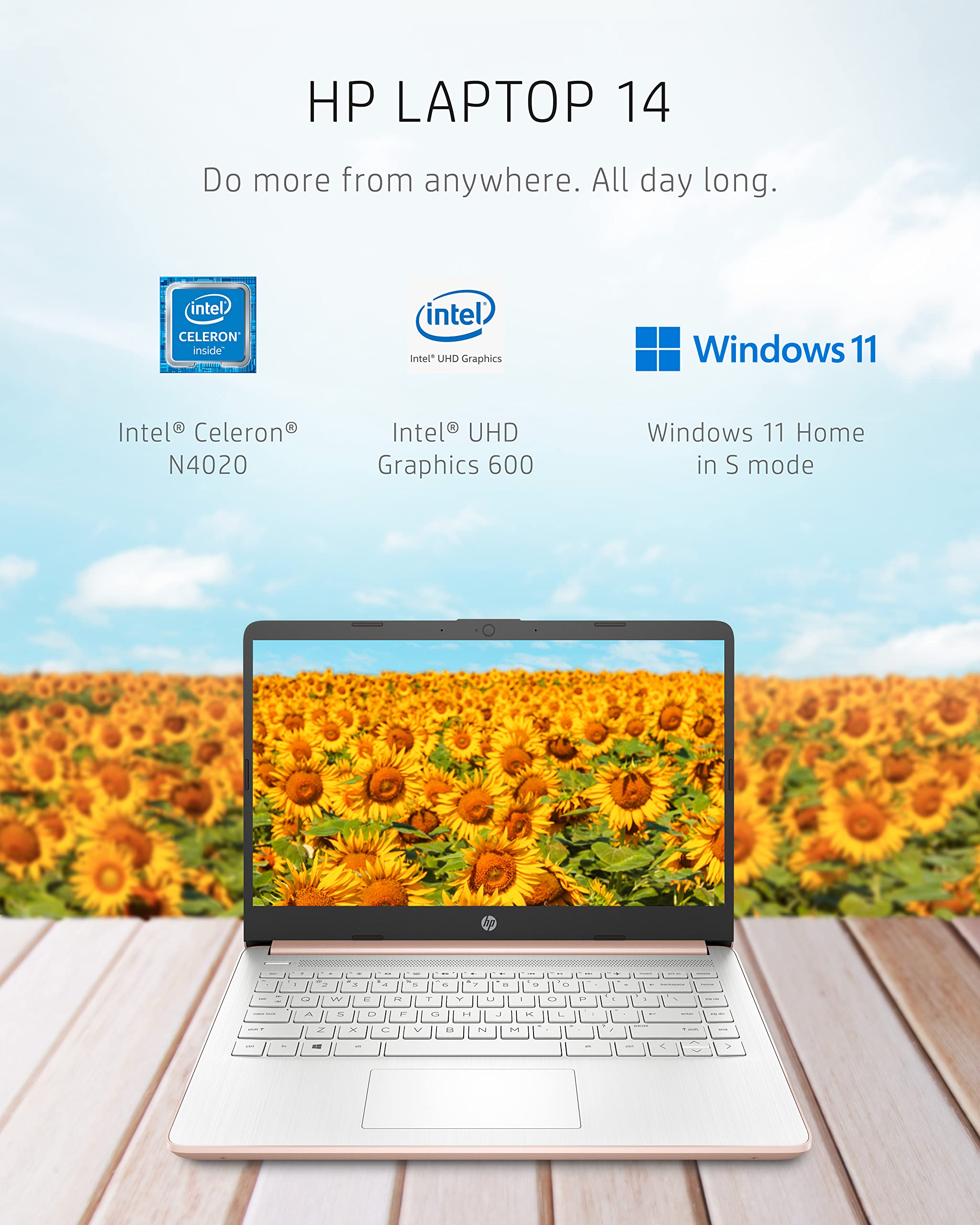 HP 14 Laptop, Intel Celeron N4020, 4 GB RAM, 64 GB Storage, 14-inch HD Touchscreen, Windows 11 Home, Thin & Portable, 4K Graphics, One Year of Microsoft 365 (14-dq0070nr, 2021, Pale Rose Gold)