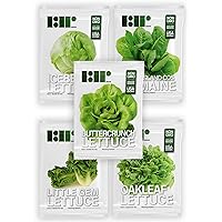 Lettuce Seeds for Planting Variety Pack - 5 Types of Lettuce - Buttercrunch, Parris Island Cos, Oakleaf, Little Gem, and Iceberg