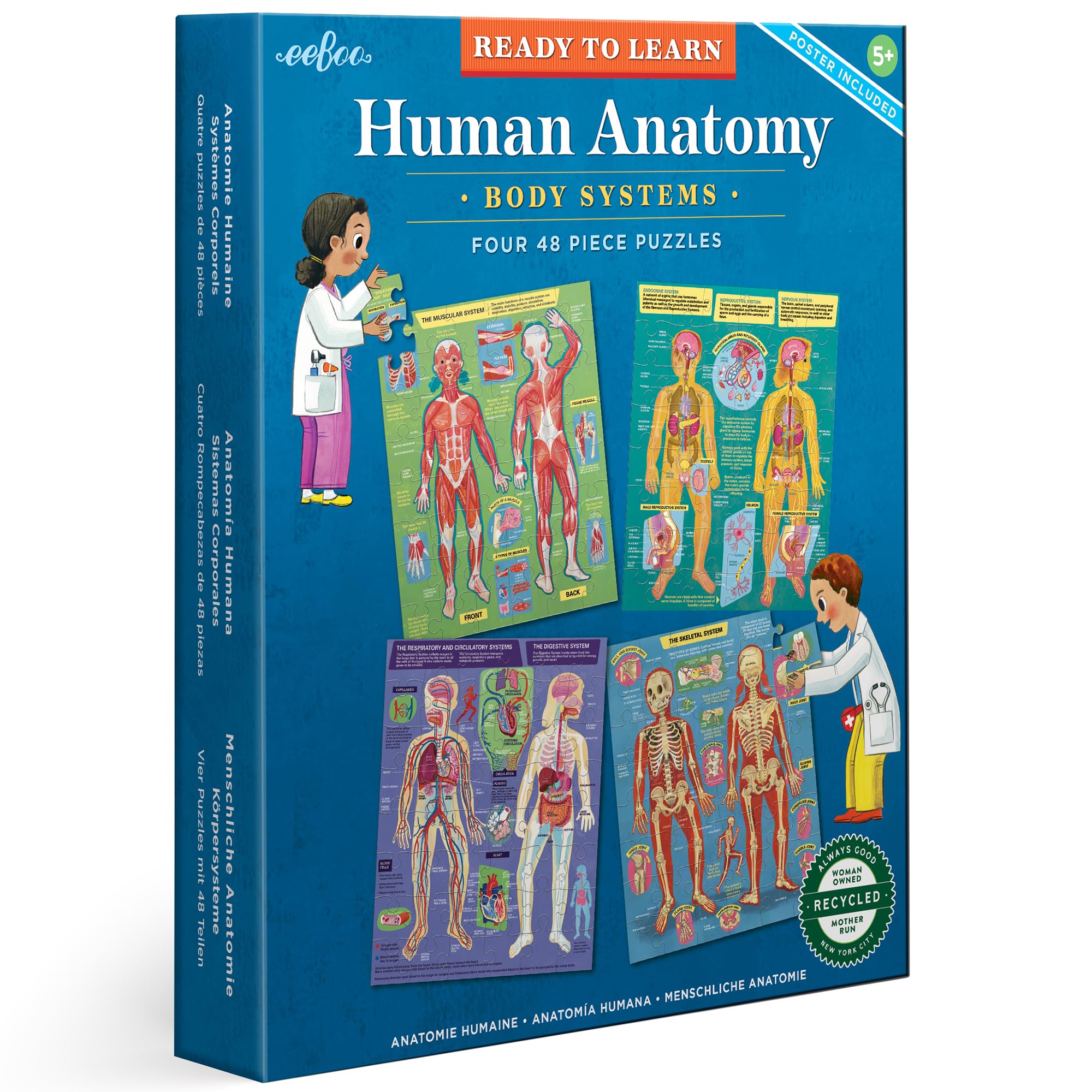 eeBoo: Ready to Learn: Human Anatomy 4-Puzzles - Body Systems Set of 4-48 Piece Jigsaws, Includes Educational Poster, Kids Ages 8+