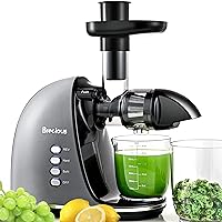 Slow Masticating Juicer,Brecious Cold Press Juicer with 2 Speed Modes & Quiet Motor,Juicer Machines Vegetable and Fruit with Reverse Function,Celery Juicer,BPA-Free,Easy to Clean (Silver)