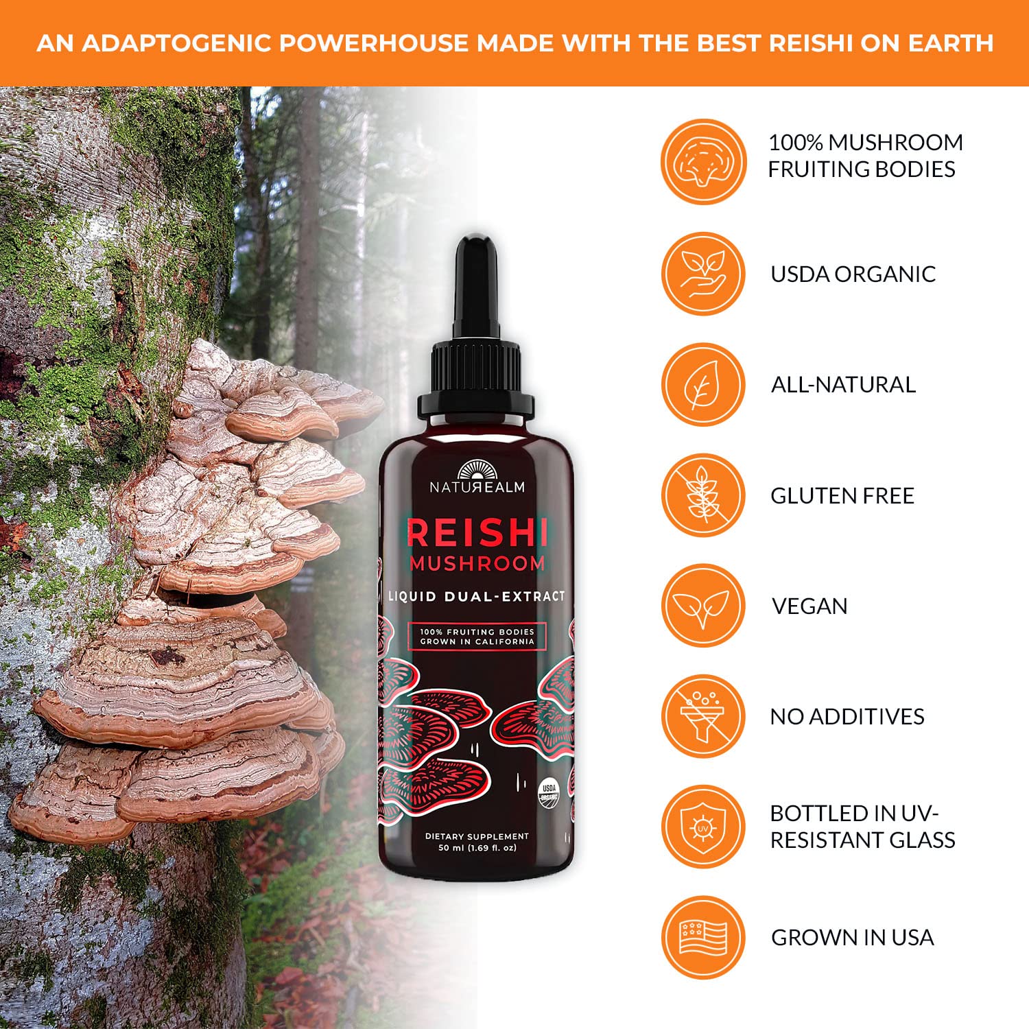 Naturealm Lion’s Mane, Reishi, & Chaga Mushroom Extract - Adaptogen Stack for Focus, Immunity, Longevity, Gut Health, Anti-Aging, Energy, Healing, & More - Organic Liquid Drops - 50 mL Each (3 Pack)