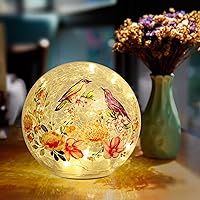Birds and Colorful Flowers Crackle Lamp Timer Function Lamp- Glass Shade Desk Nightstand Lamp for Garden Home Office Stairway Party - Battery Operated Decorative Balls