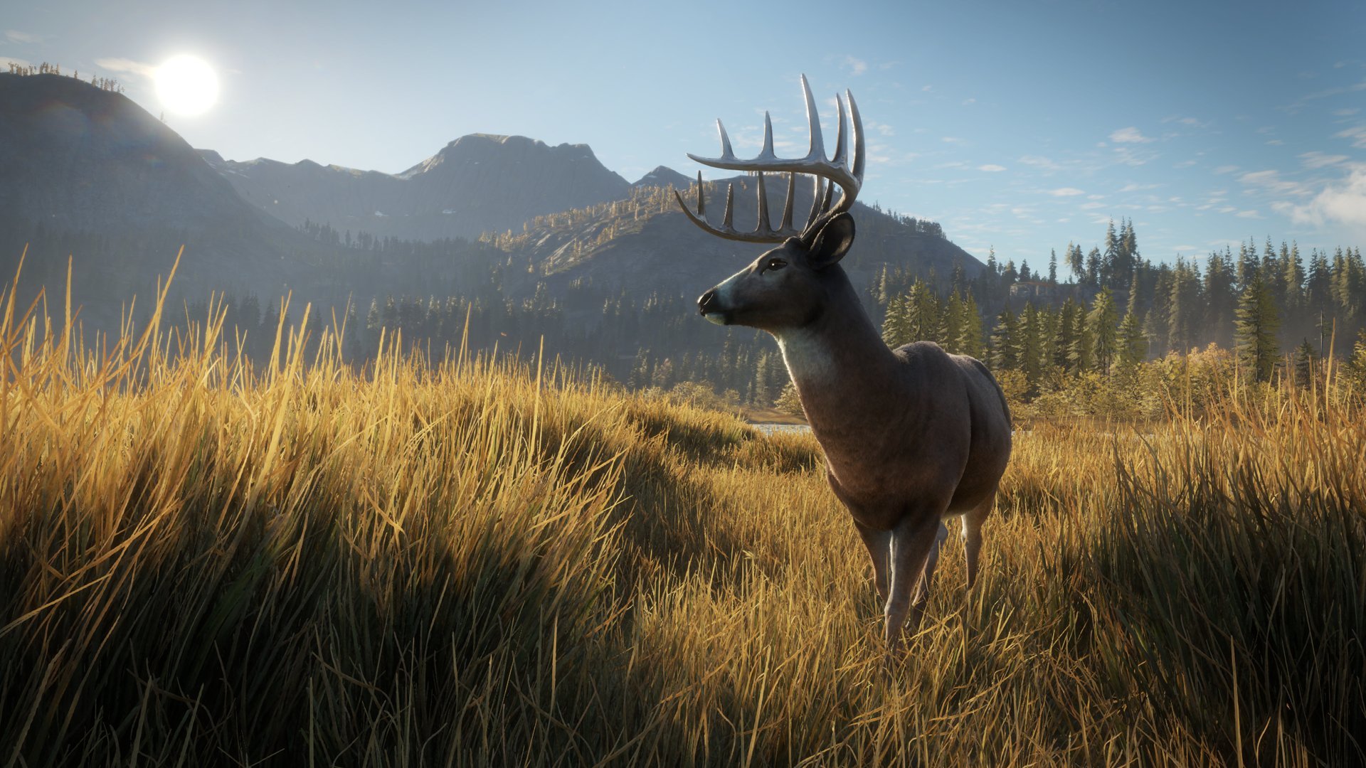 theHunter: Call of the Wild - PlayStation 4