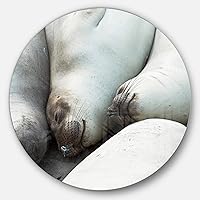 Designart Sea Elephants Taking Nap Animal Metal Artwork-Disc of 23 inch, 23X23-Disc, White