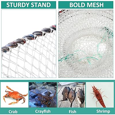 Mua 4 Pack Fishing Bait Trap Crab Trap Minnow Trap Crawfish Trap Lobster  Trap Crayfish Shrimp Trap Net Portable Collapsible Fishing Traps with 49 Ft  Rope Folded Fishing Accessories, 12 x 24