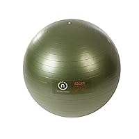Burst Resistant Exercise Ball