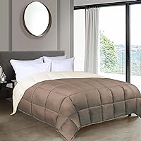 Superior Brushed Microfiber Comforter, Down Alternative Bedding, Medium Weight, Soft Bed Cover, Plush Duvet Insert, Oversized Blanket, Box Quilt, Reversible Comforter, Twin/Twin XL, Ivory-Taupe