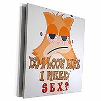3dRose RinaPiro Sex Sayings - Do I look like I need sex. - Museum Grade Canvas Wrap (cw_272736_1)