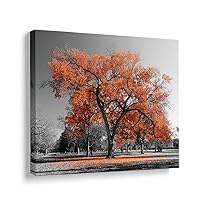 Niwo ART - Orange, Big Colorful Tree in a black and white landscape scene Canvas Wall Art Home Decor, Gallery Wrapped, Stretched, Framed Ready to Hang (16