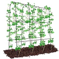 Garden Arch Trellis for Climbing Plants Outdoor, 71in Tall Cucumber Trellis Large Garden Tunnel Trellises with Nylon Netting for Vegetables Vines Beans Pea Raised Beds