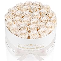 Forever Real Roses in a Box, Preserved Rose That Last Up to 3 Years, Flowers for Delivery Prime Birthday Valentines Day Gifts for Her, Mothers Day Flower (Buttermilk)