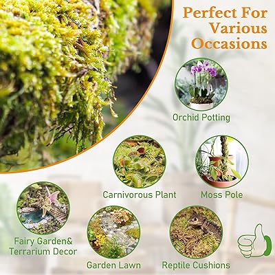 Sphagnum Moss 5 oz Dried Forest Moss for Orchid Moss Potting Mix, Natural  Plant Moss for Carnivorous Plants, Succulent, Reptile