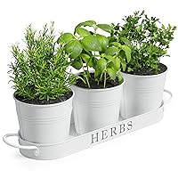 Barnyard Designs Indoor Herb Garden Planter Set with Tray, Metal Windowsill Plant Pots with Drainage for Outdoor or Indoor Plants, Rail Planters White, Set/3