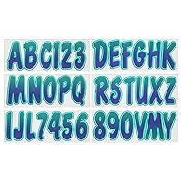 Hardline Products Series 200 Factory Matched 3-Inch Boat & PWC Registration Number Kit, Purple/Teal,PUTEG200