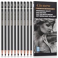 Professional Colour Charcoal Pencils Drawing Set 8 Pieces Pastel Chalk  Pandafly