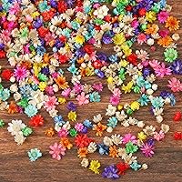 200 PCS Small Dried Flowers for Crafts Resin, Colorful Dried Flowers for Nails, Natural Real Tiny Dried Pressed Flowers for Jewelry Earrings Epoxy Molds, DIY Candles Making, Soap Making