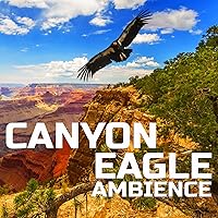 Canyon Eagle Sounds (Animals Sound Effects Remix)