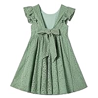 Rysly Toddler Girls Backless Flutter Sleeve Lace Party Dress Elastic Waist Bow Kid Casual Dresses