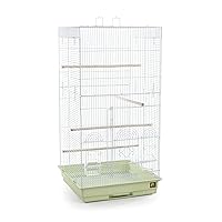 Prevue Pet Products SPECONO1818H-SG Tall Tiel Cage, Sage Green