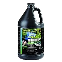 ALGAGAL Algaway 5.4 Algae Control Treatment for Ponds and Water Gardens, Safe for Koi Fish, Goldfish, Plants, and Decorations, 1 Gallon