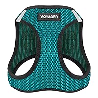 Voyager Step-in Air Dog Harness - All Weather Mesh Step in Vest Harness for Small and Medium Dogs by Best Pet Supplies - Turquoise (2-Tone), L