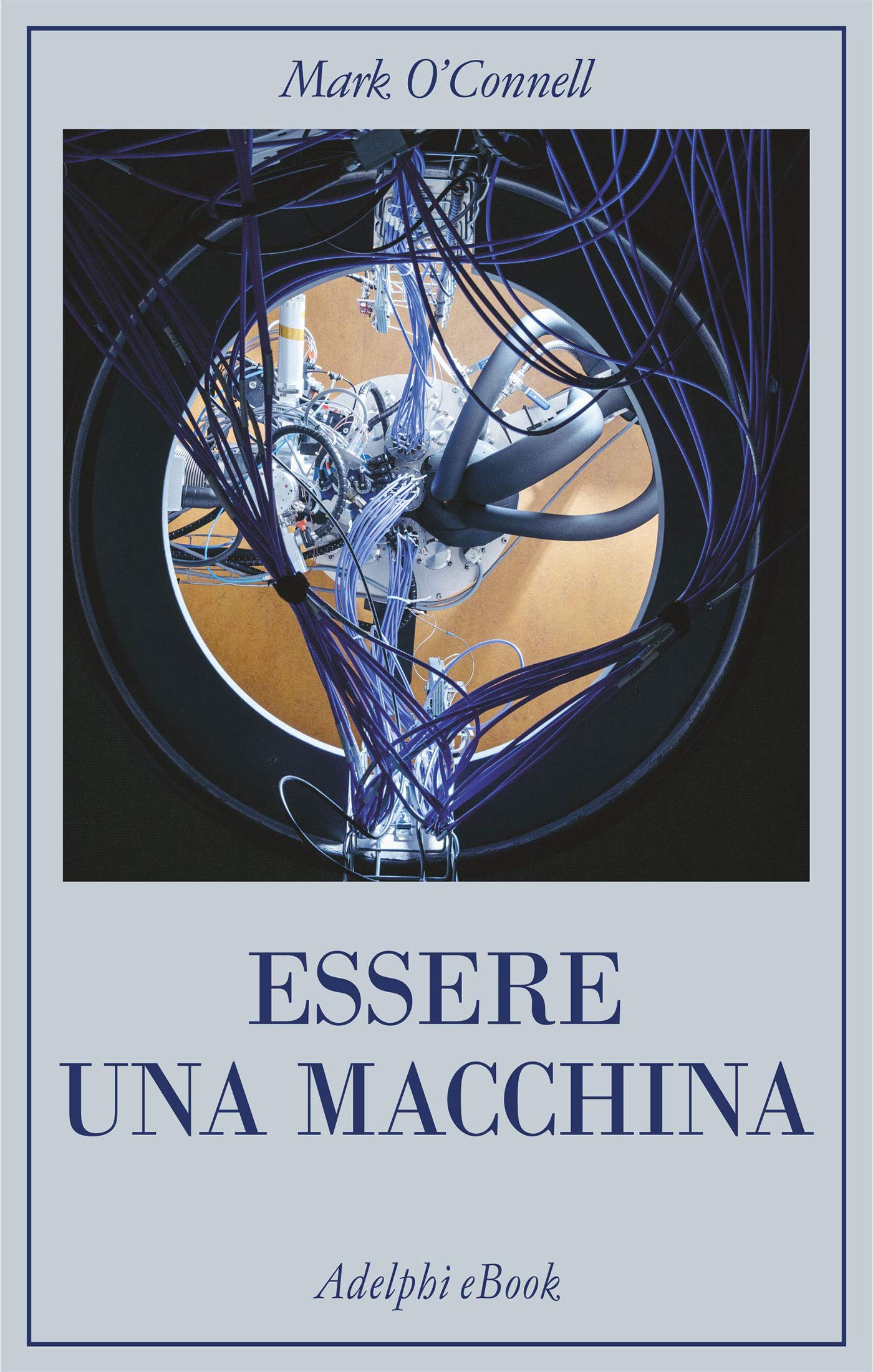 Essere una macchina: Un viaggio attraverso cyborg, utopisti, hacker e futurologi per risolvere il modesto problema della morte (Italian Edition)