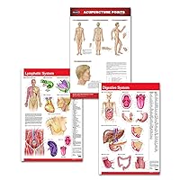 Permacharts Naturopathy and Holistic Doctors Office Medical Wall Poster Bundle - 3 laminated 24