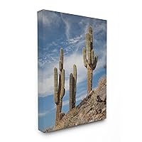Stupell Home Décor Desert Sentinel Photograph Stretched Canvas Wall Art, 16 x 1.5 x 20, Proudly Made in USA