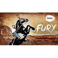 Fury - Vol 1