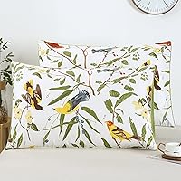 YOU SA Luxury 100% Cotton Pillowcases 1000 Thread Count Pillow Cases Birds Floral Print Pillow Covers (King, Color-21)