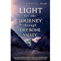 Light for the Journey Through Dry Bone Valley: How Points of Connection in You, Your Relationships, and Your Community Can Reinvigorate Your Life Light for the Journey Through Dry Bone Valley: How Points of Connection in You, Your Relationships, and Your Community Can Reinvigorate Your Life Kindle Audible Audiobook Paperback