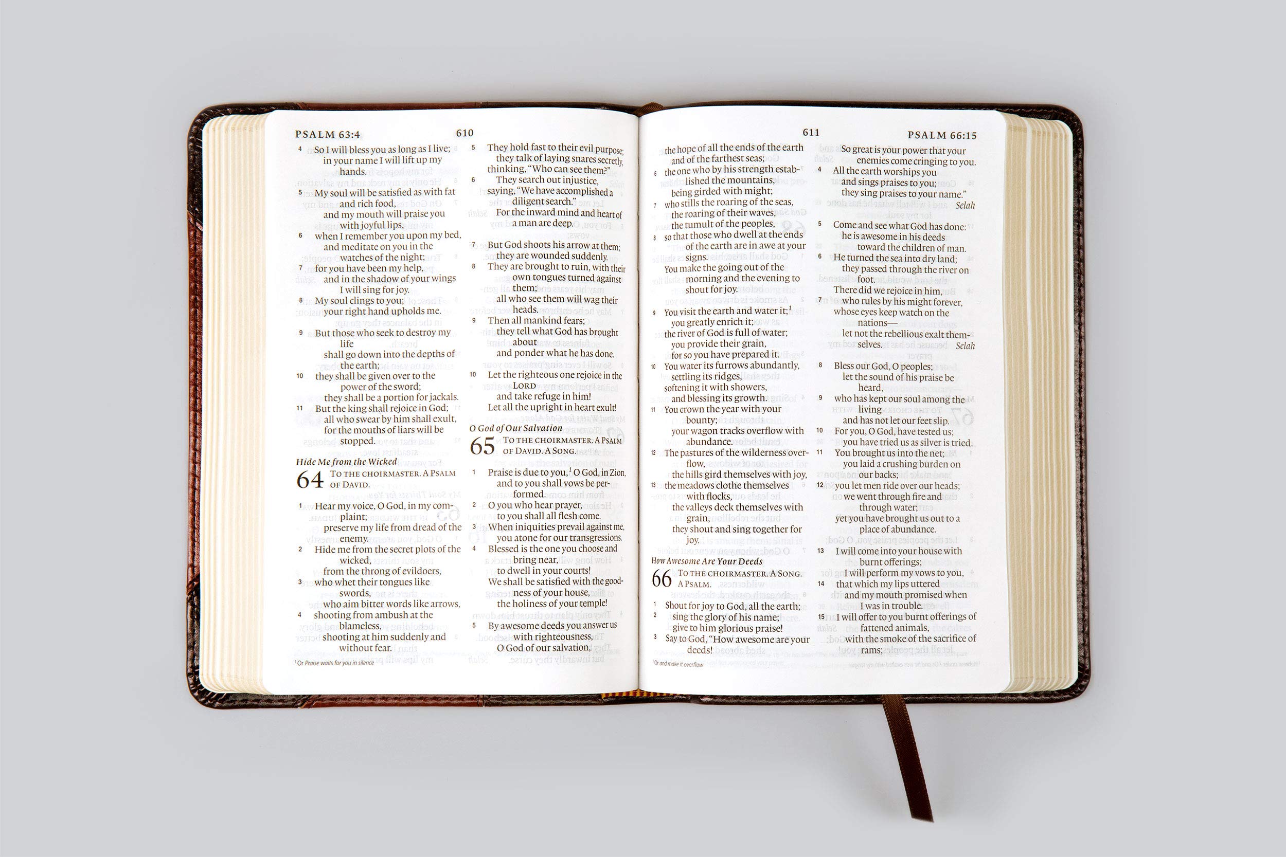 ESV Large Print Compact Bible (FONT SIZE: 8 pt., TruTone, Berry, Floral Design)