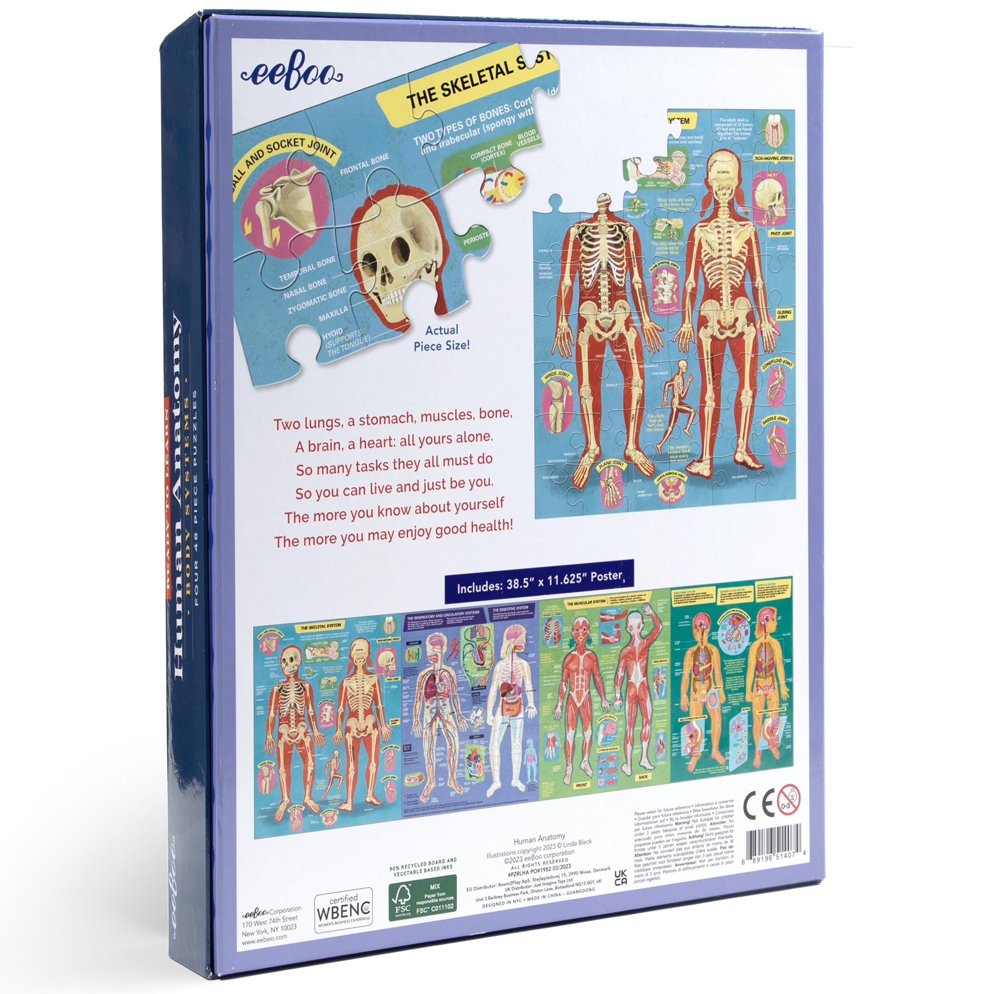 eeBoo: Ready to Learn: Human Anatomy 4-Puzzles - Body Systems Set of 4-48 Piece Jigsaws, Includes Educational Poster, Kids Ages 8+