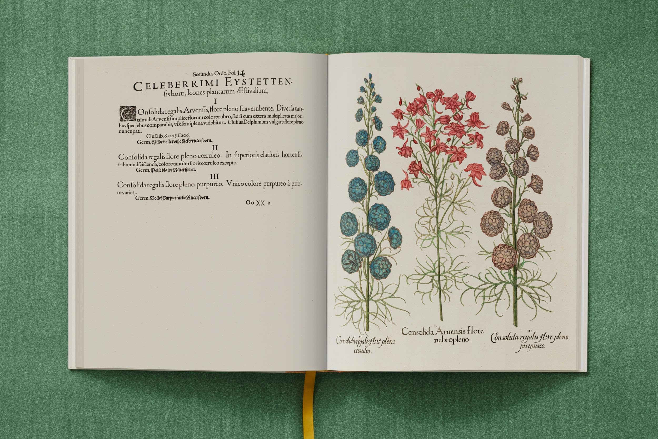 Basilius Besler The Garden at Eichstätt Set: Florilegum / Garden at Eichstatt / Book of Plants (1-3)