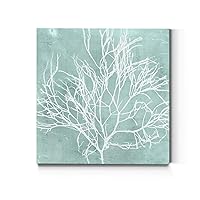 Renditions Gallery Square Canvas Wall Art: Contemporary Coastal Beach, Neutral Nature, Modern Fractial Floral, Multi Color Flower Abstract Wall Art for Home & Office - Seaweed on Aqua II 32X32