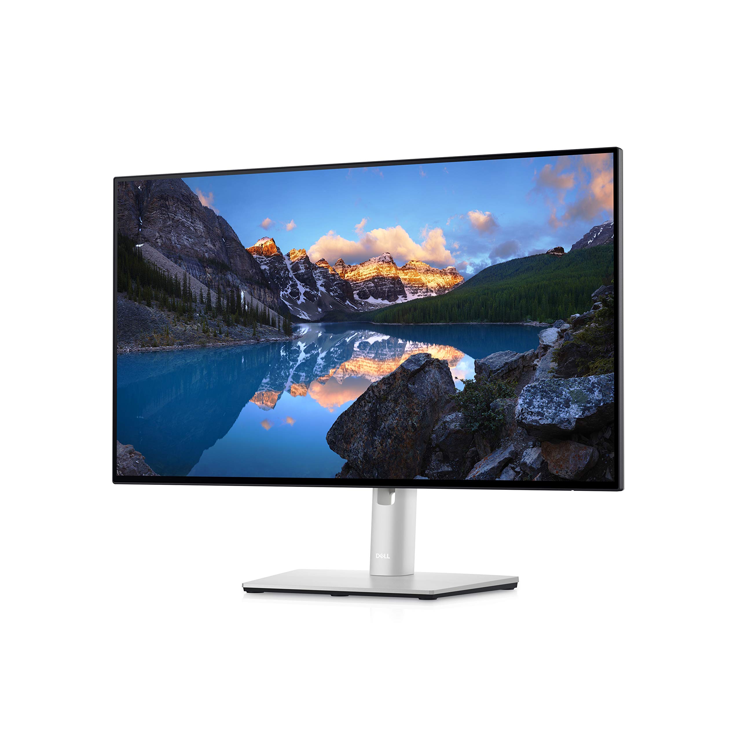 Dell UltraSharp 24 Monitor - U2422H - 60.47cm (23.8