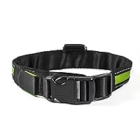 Rechargable Water Resistant LED Dog Collar, Small, Green